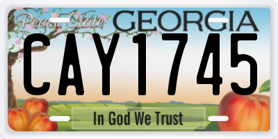 GA license plate CAY1745