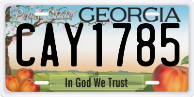 GA license plate CAY1785