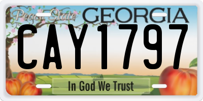 GA license plate CAY1797