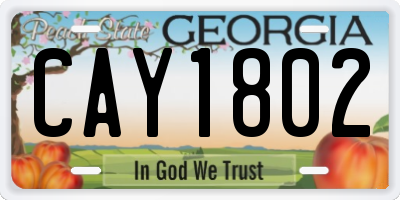 GA license plate CAY1802
