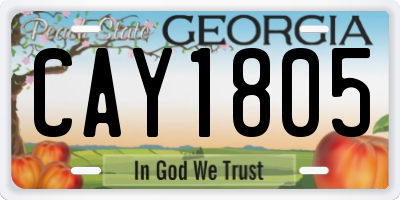 GA license plate CAY1805