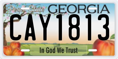 GA license plate CAY1813