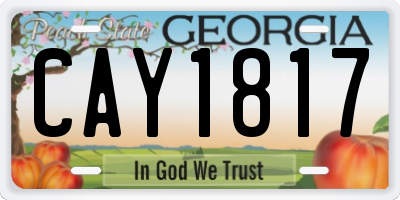 GA license plate CAY1817