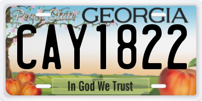 GA license plate CAY1822