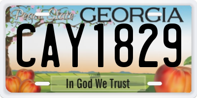 GA license plate CAY1829