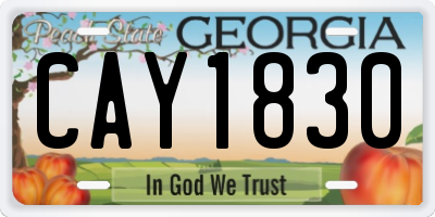 GA license plate CAY1830