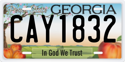 GA license plate CAY1832