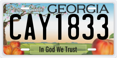GA license plate CAY1833