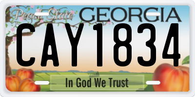 GA license plate CAY1834