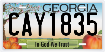 GA license plate CAY1835