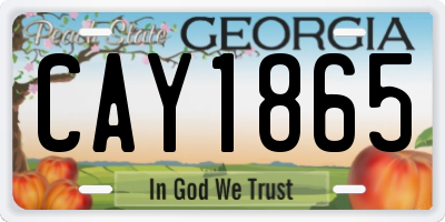 GA license plate CAY1865