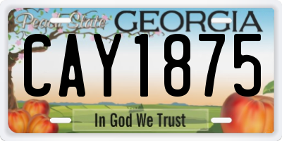 GA license plate CAY1875