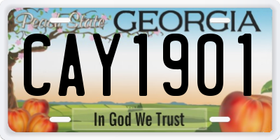 GA license plate CAY1901