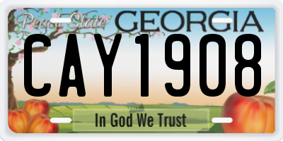 GA license plate CAY1908
