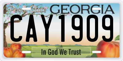 GA license plate CAY1909
