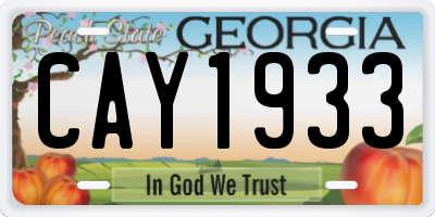 GA license plate CAY1933