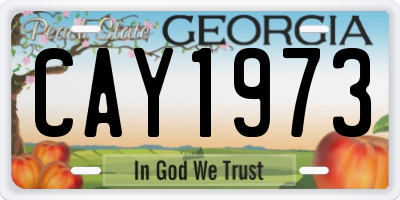 GA license plate CAY1973