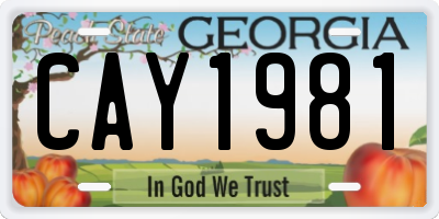 GA license plate CAY1981