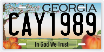 GA license plate CAY1989