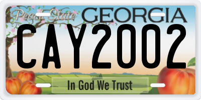 GA license plate CAY2002