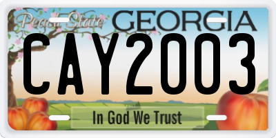 GA license plate CAY2003