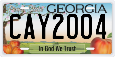 GA license plate CAY2004