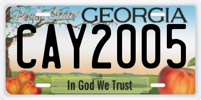 GA license plate CAY2005