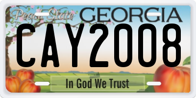 GA license plate CAY2008