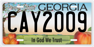 GA license plate CAY2009