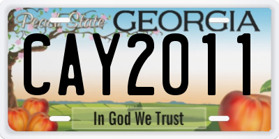 GA license plate CAY2011
