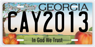 GA license plate CAY2013