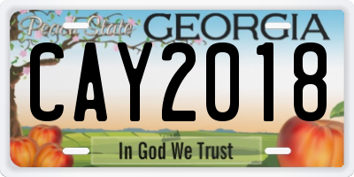 GA license plate CAY2018