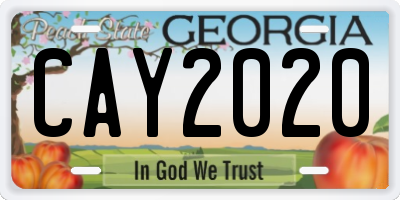 GA license plate CAY2020