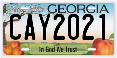 GA license plate CAY2021
