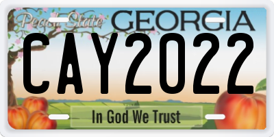 GA license plate CAY2022