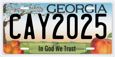 GA license plate CAY2025