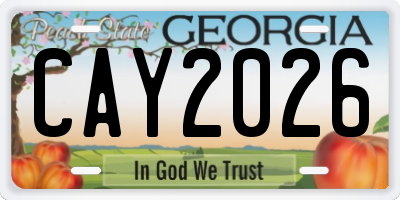 GA license plate CAY2026