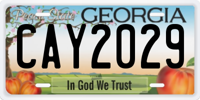 GA license plate CAY2029