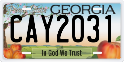 GA license plate CAY2031