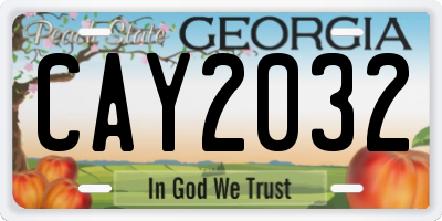 GA license plate CAY2032