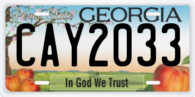 GA license plate CAY2033