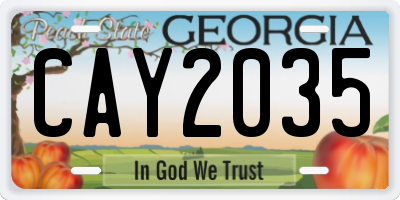 GA license plate CAY2035