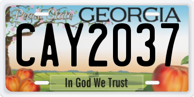GA license plate CAY2037