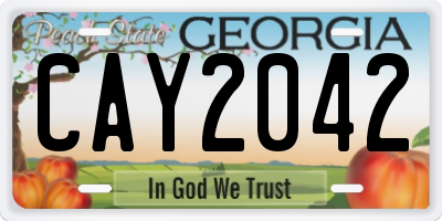GA license plate CAY2042
