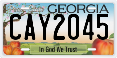 GA license plate CAY2045