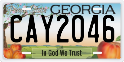 GA license plate CAY2046