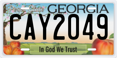 GA license plate CAY2049