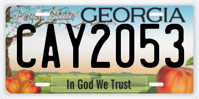 GA license plate CAY2053