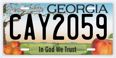 GA license plate CAY2059