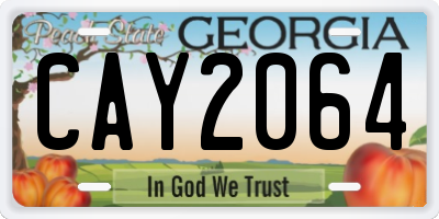 GA license plate CAY2064